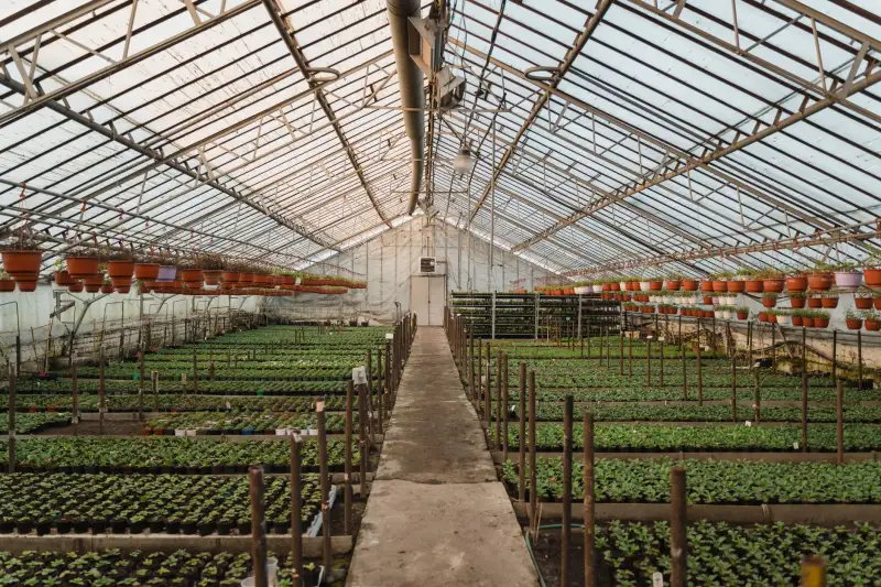 华南地区花卉苗木供应周期及工程采购要点解析正文配图 1